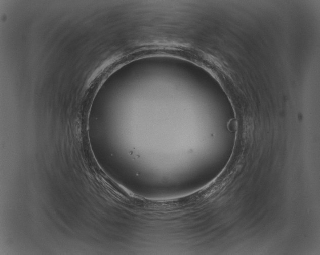 X0000066931307200603311342