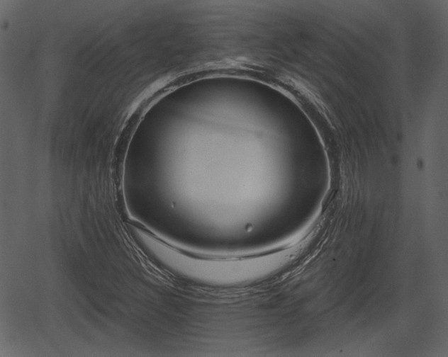 X0000066931308200603311342