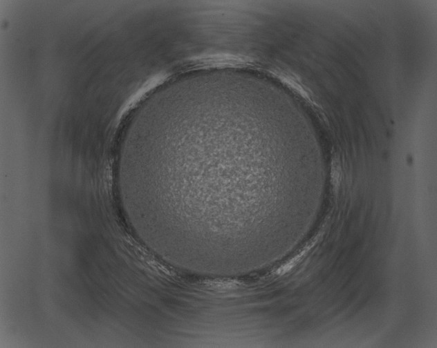 X0000066931309200603311342