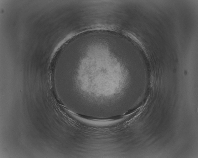 X0000066931310200603311342