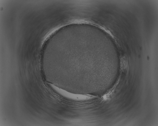 X0000066931311200603311342