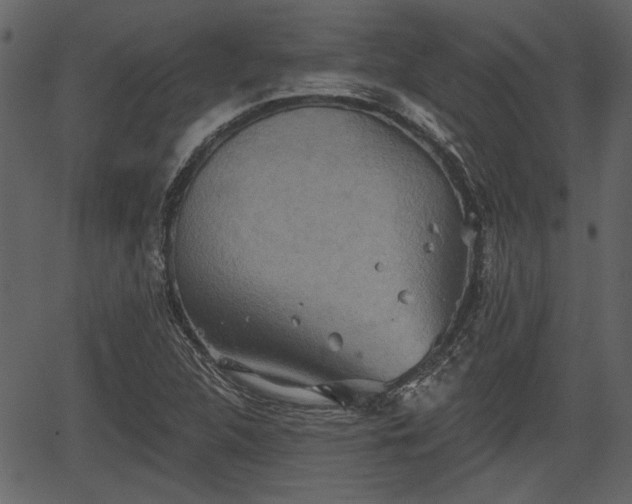 X0000066931312200603311342