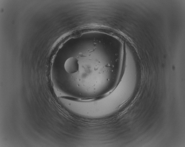 X0000066931314200603311342