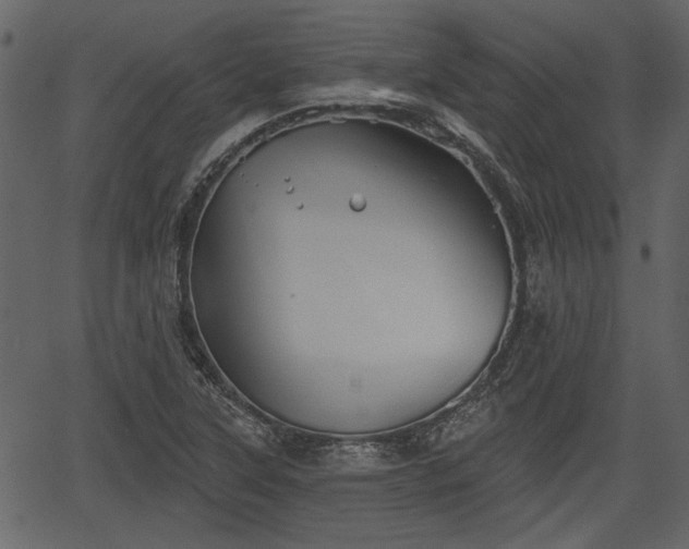 X0000066931315200603311342