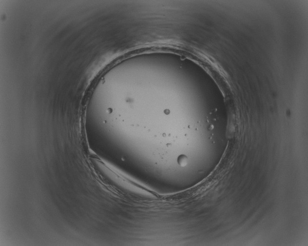 X0000066931316200603311342