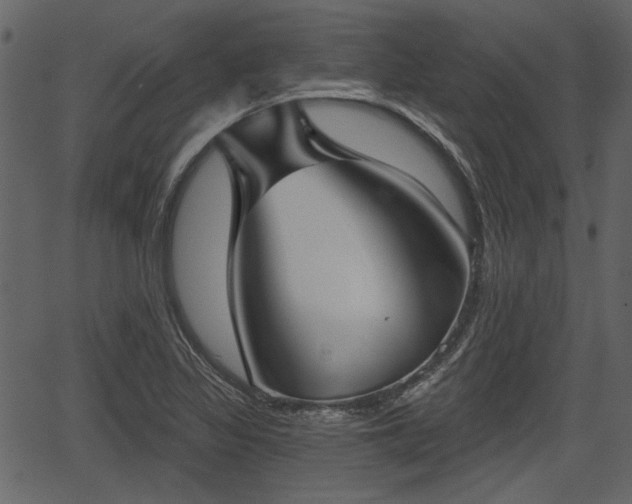 X0000066931317200603311342