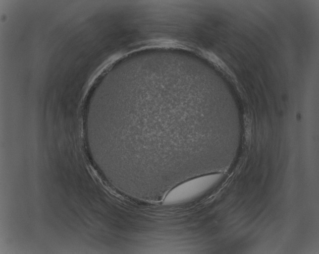 X0000066931318200603311342