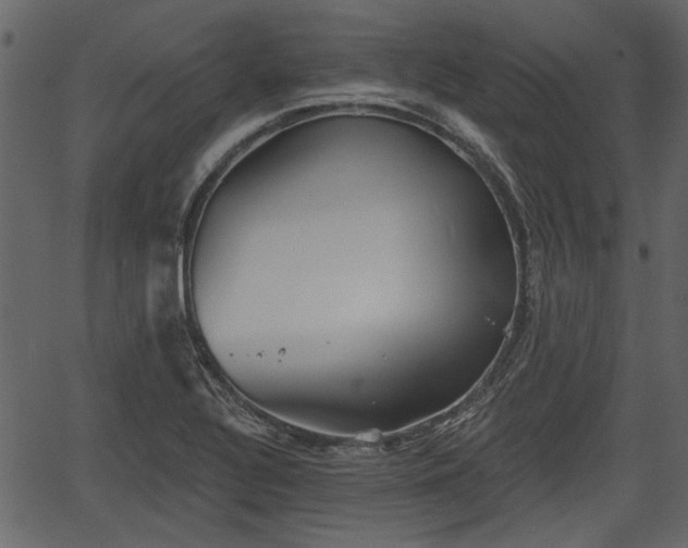 X0000066931320200603311342