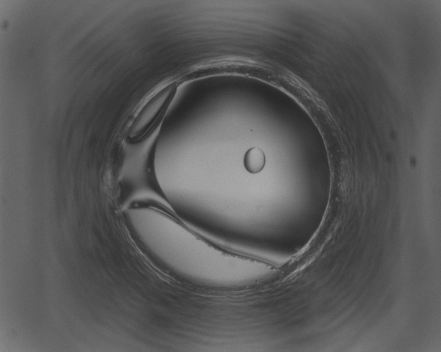 X0000066931321200603311342