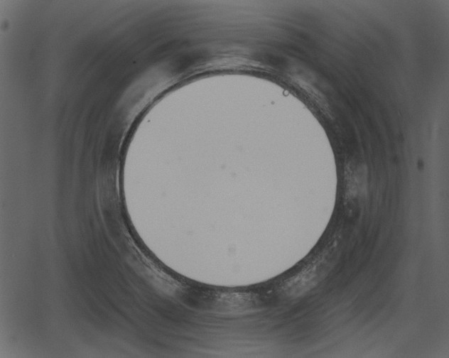 X0000066931322200603311342