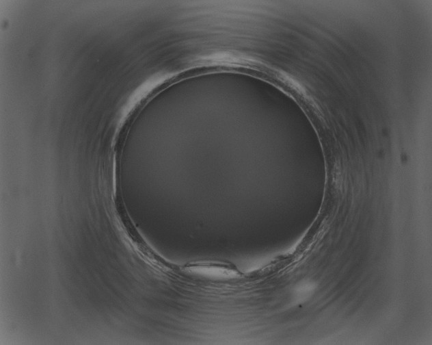 X0000066931323200603311342