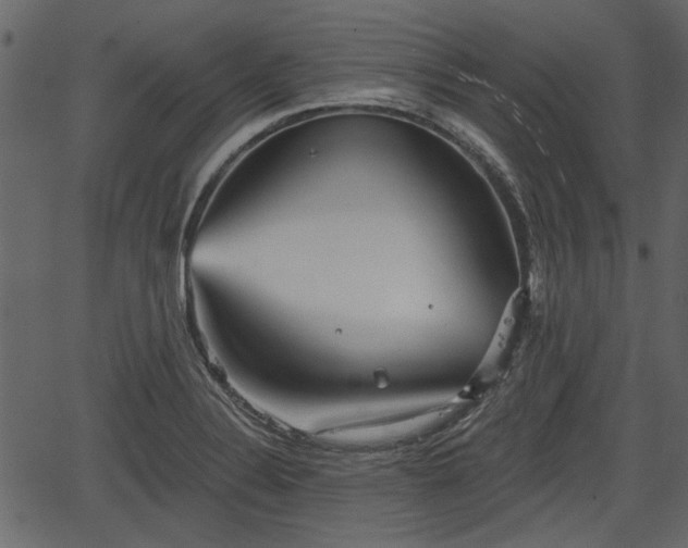 X0000066931324200603311342