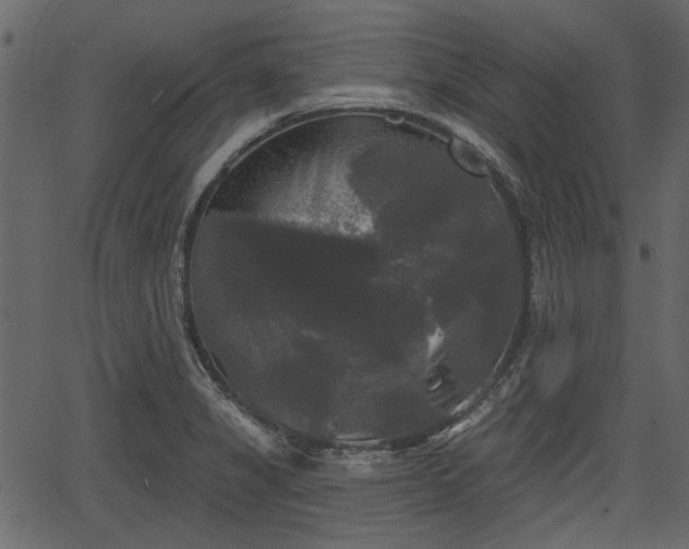 X0000066931325200603311342