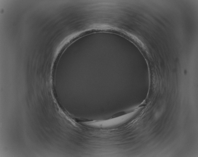 X0000066931327200603311342