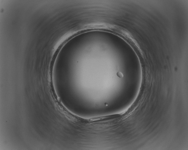 X0000066931328200603311342