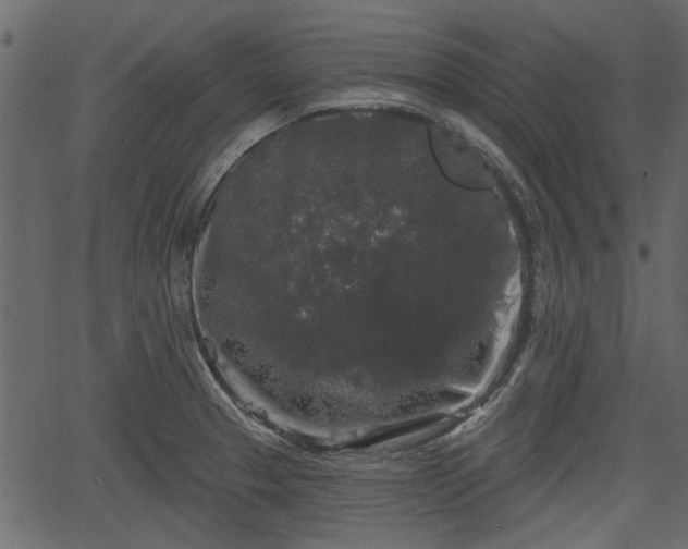 X0000066931329200603311342