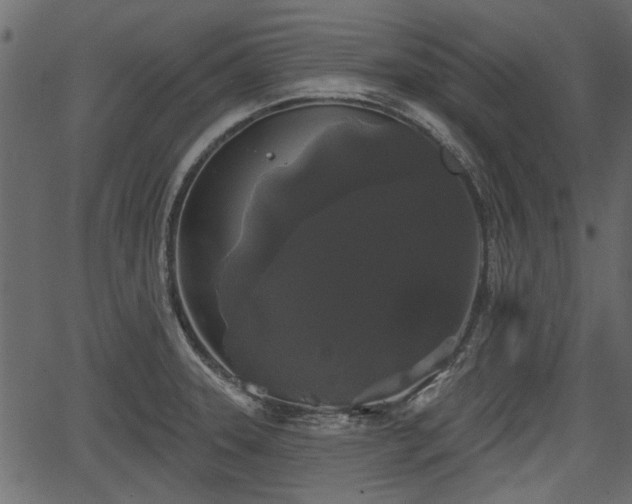 X0000066931331200603311342