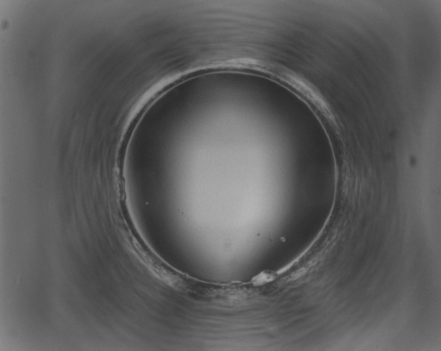 X0000066931332200603311342