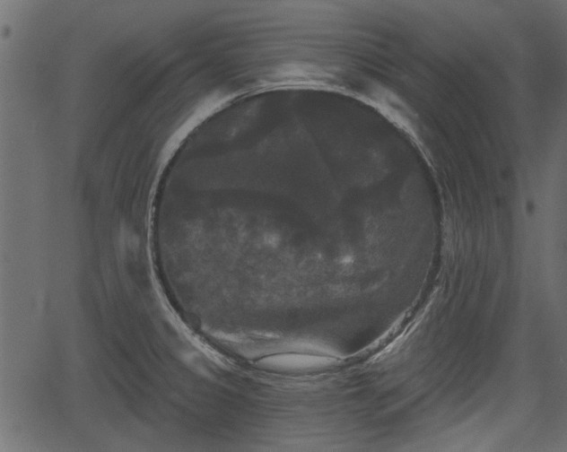 X0000066931333200603311342