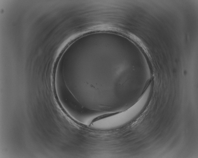 X0000066931334200603311342