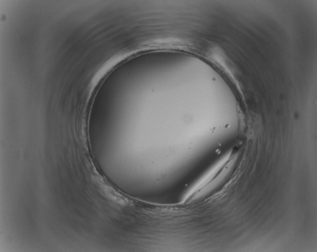 X0000066931336200603311342