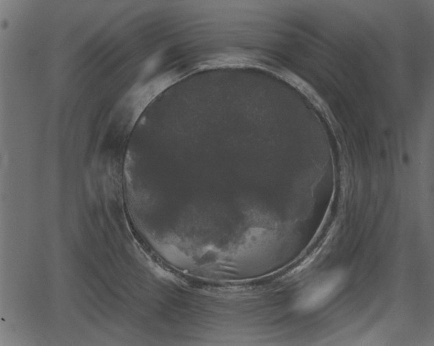 X0000066931337200603311342