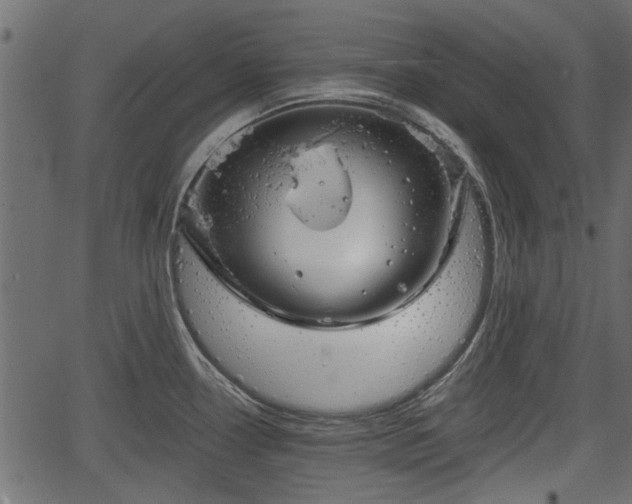 X0000066931338200603311342