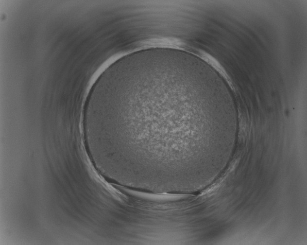 X0000066931339200603311342