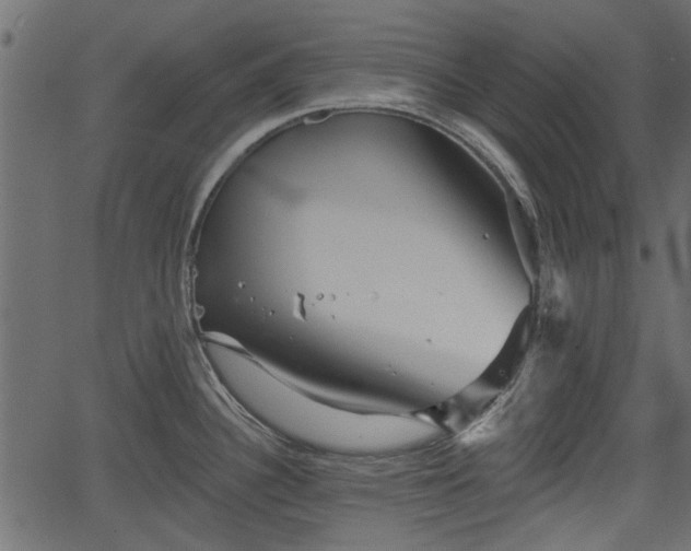 X0000066931340200603311342