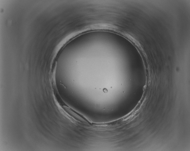 X0000066931342200603311342