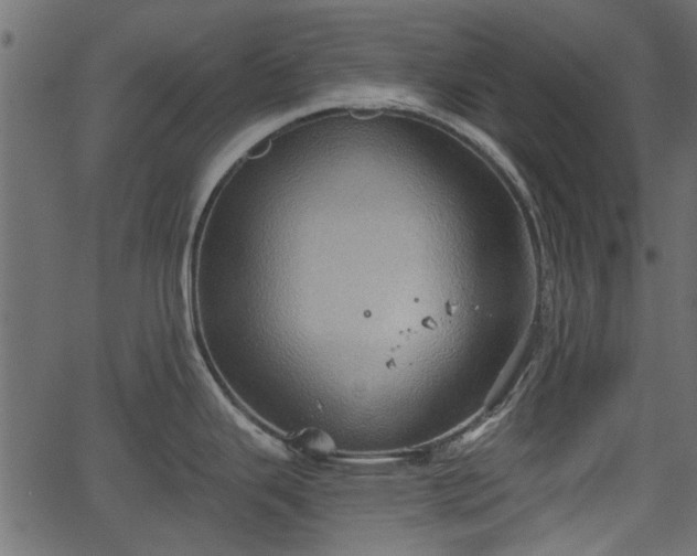 X0000066931343200603311342