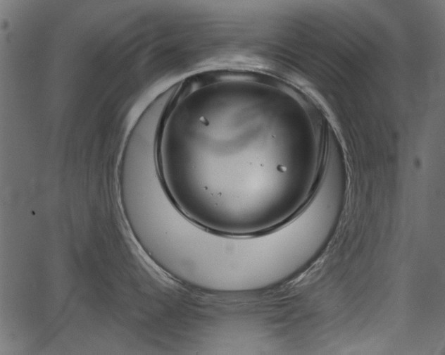 X0000066931344200603311342