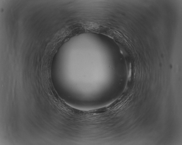 X0000066931345200603311342