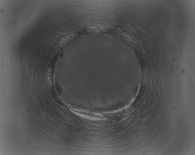 X0000066931346200603311342