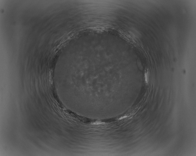 X0000066931347200603311342