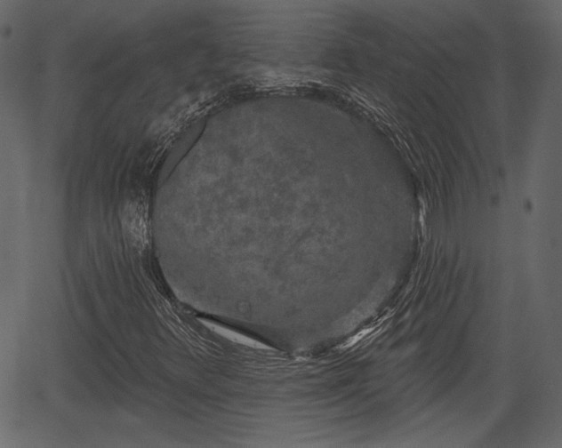 X0000066931348200603311342