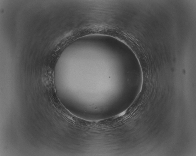 X0000066931349200603311341