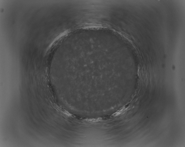 X0000066931351200603311341