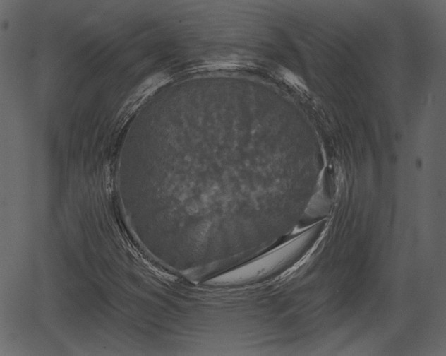 X0000066931353200603311341