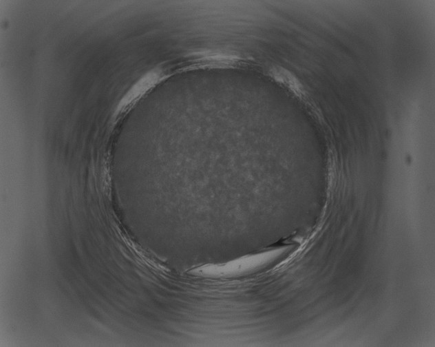 X0000066931354200603311341