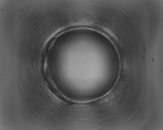 X0000066931356200603311341