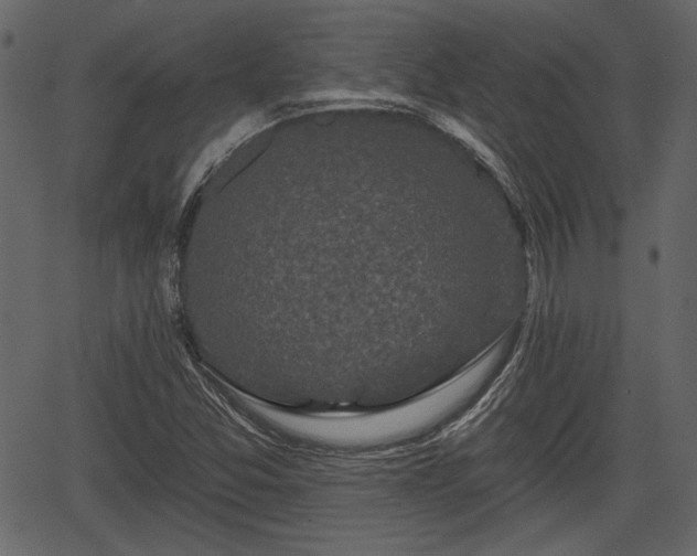 X0000066931357200603311341