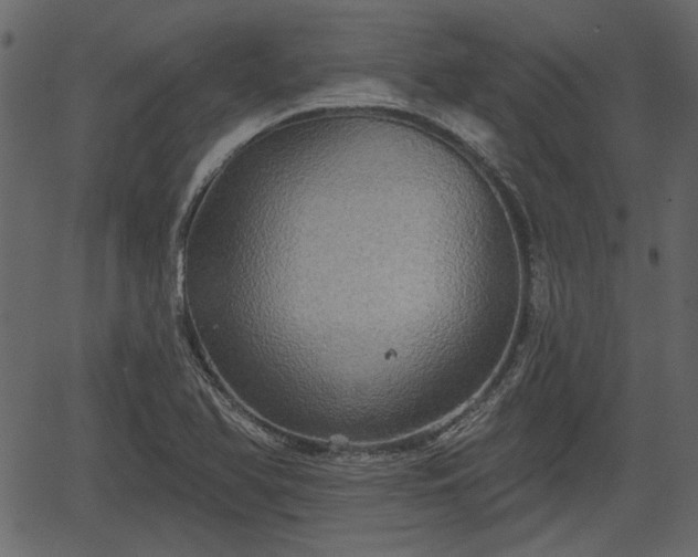 X0000066931366200603311341