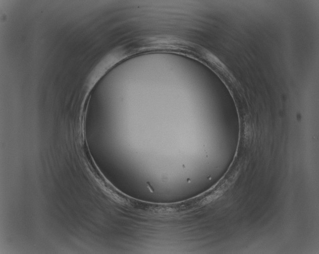 X0000066931370200603311341