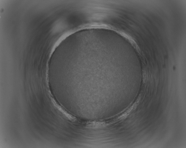 X0000066931374200603311341