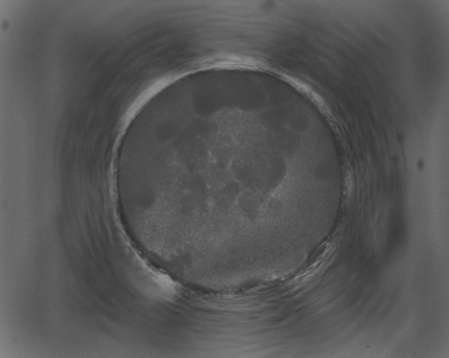 X0000066931375200603311341