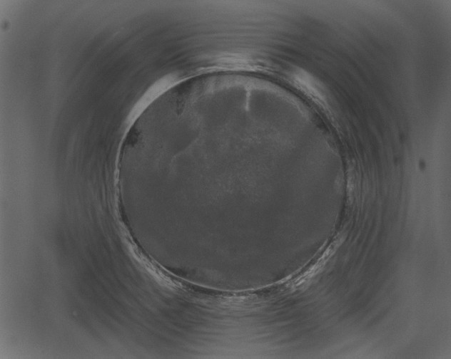 X0000066931378200603311341