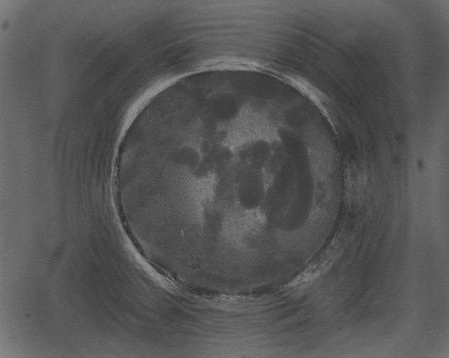 X0000066931379200603311341