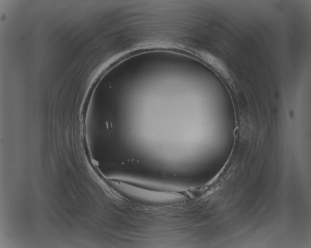 X0000066931380200603311341