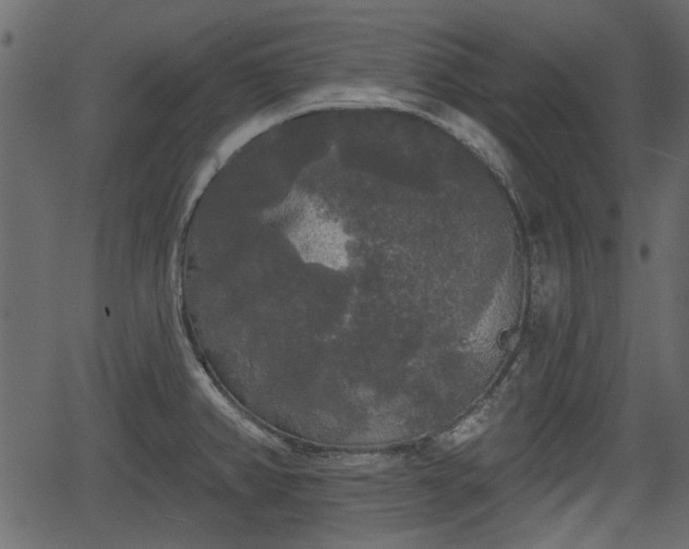 X0000066931382200603311341